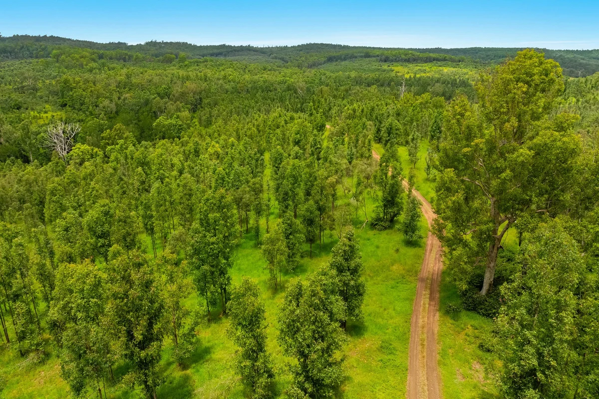 Additional image 14 of 18 Ryans Road, Bonalbo NSW 2469