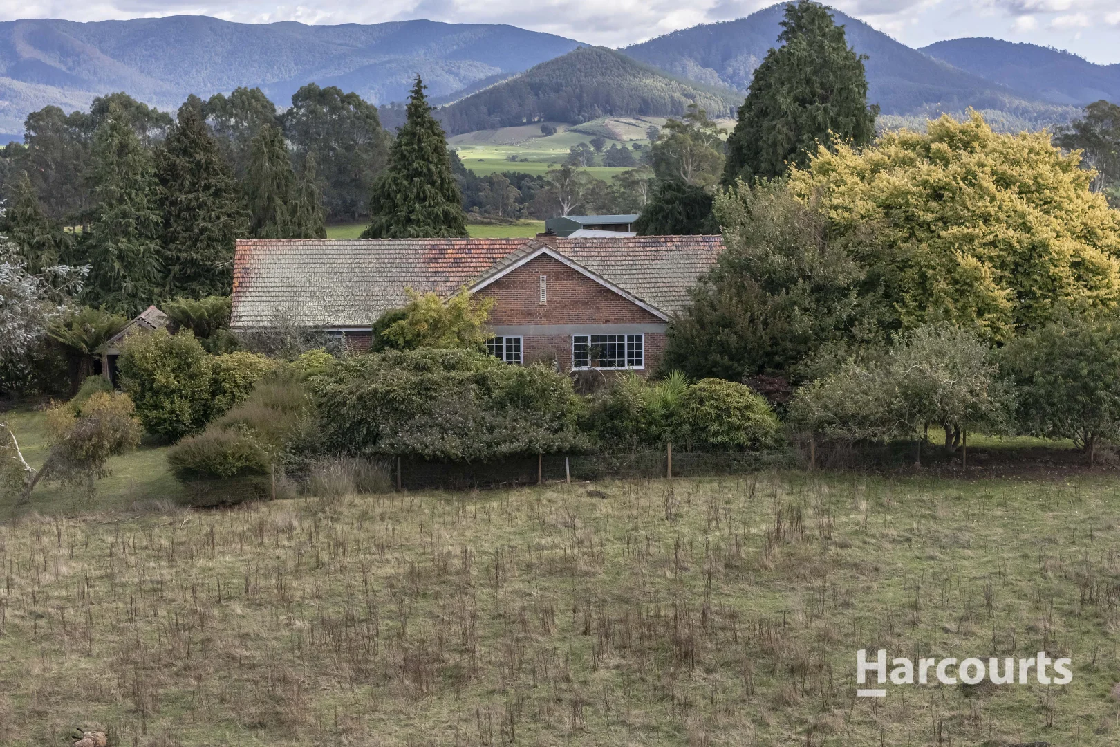 Additional image 41 of 214 Mathinna Plains Road, Ringarooma TAS 7263