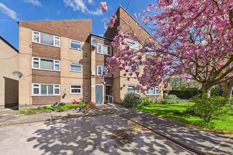 Cypress Avenue, Norton S8
