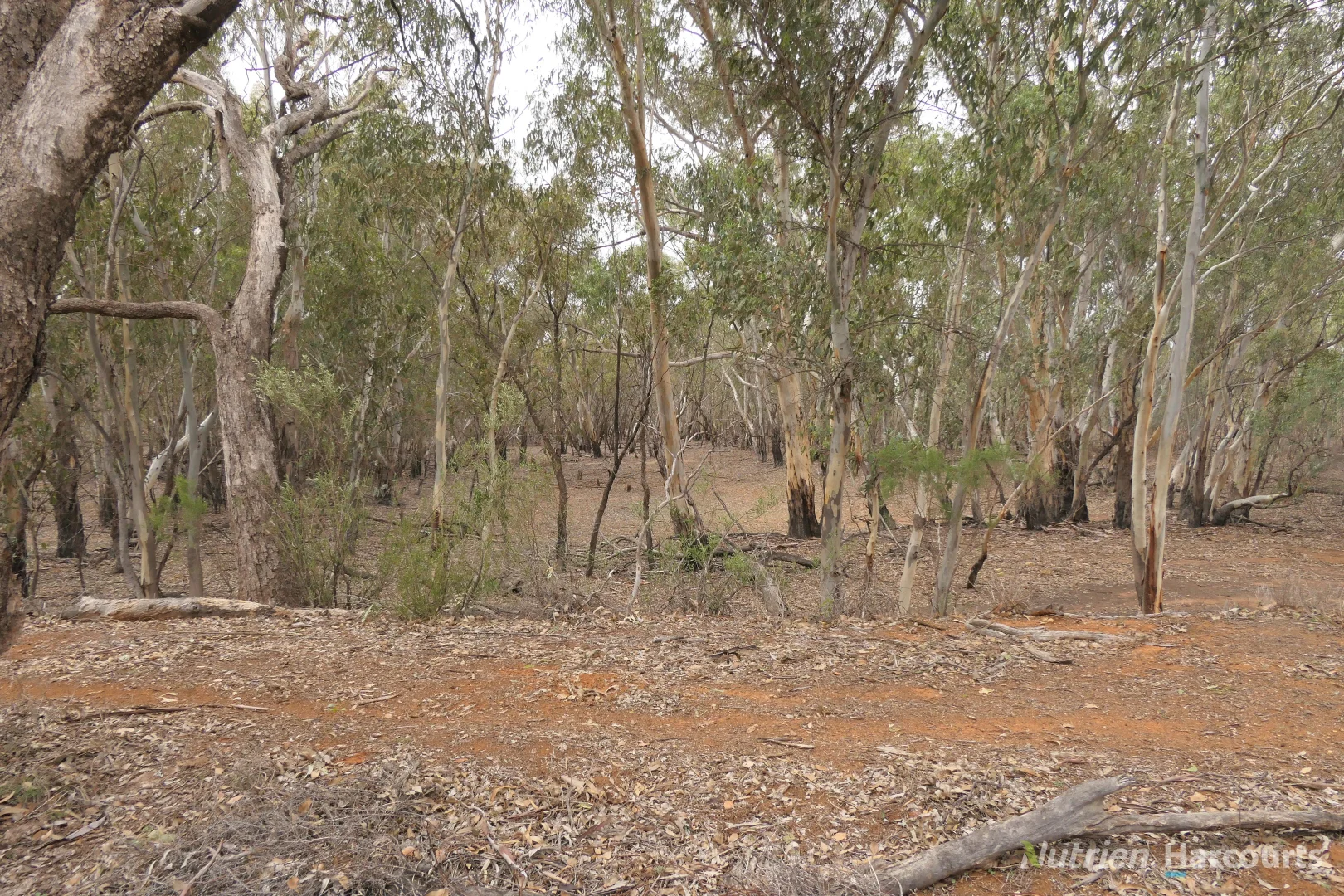 27 Singleton Drive, Cobar NSW 2835 photo 3
