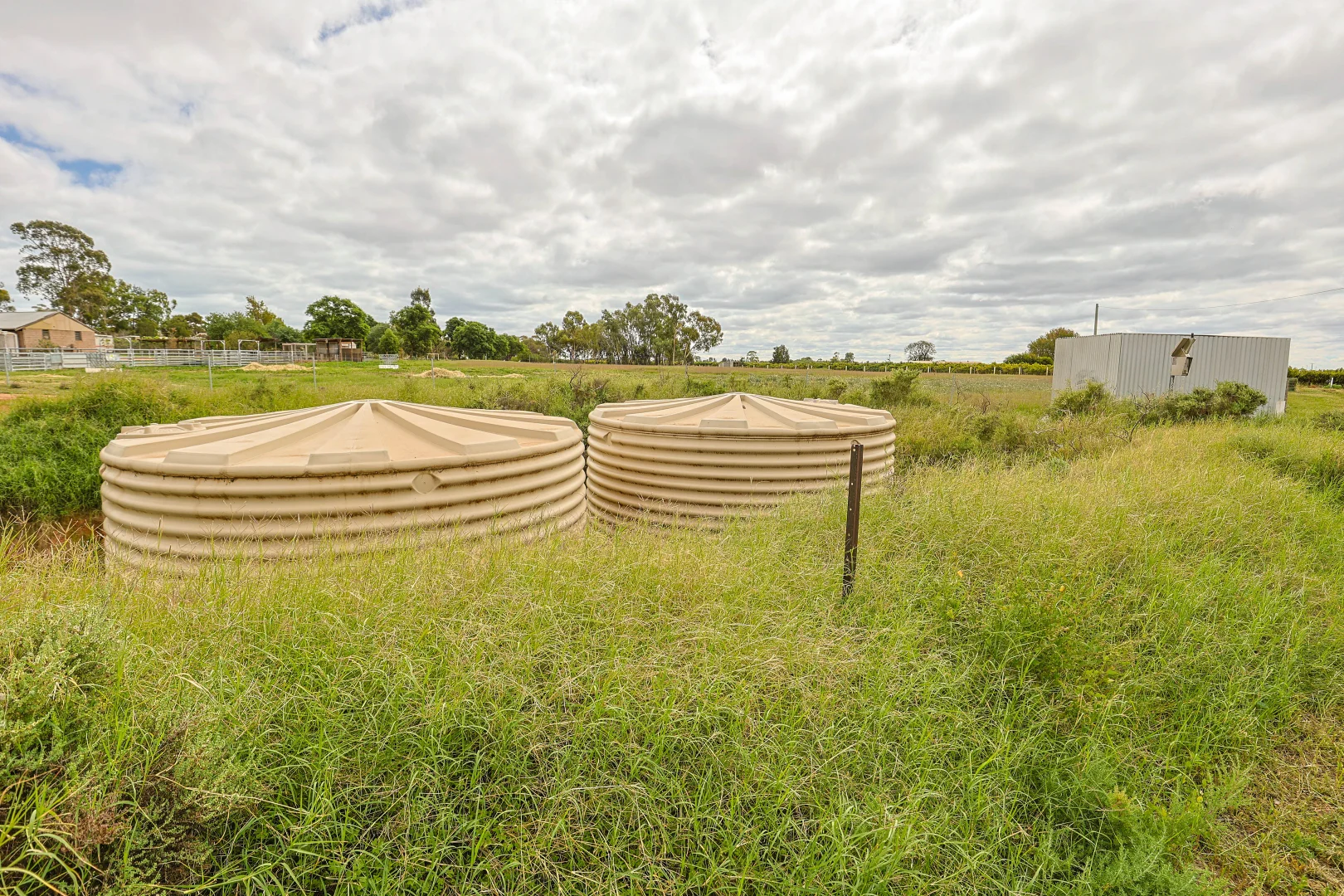 Additional image 37 of 254 Seventh Street, Merbein South VIC 3505