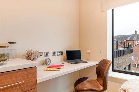 Elmwood Avenue, Belfast BT9, Studio to rent