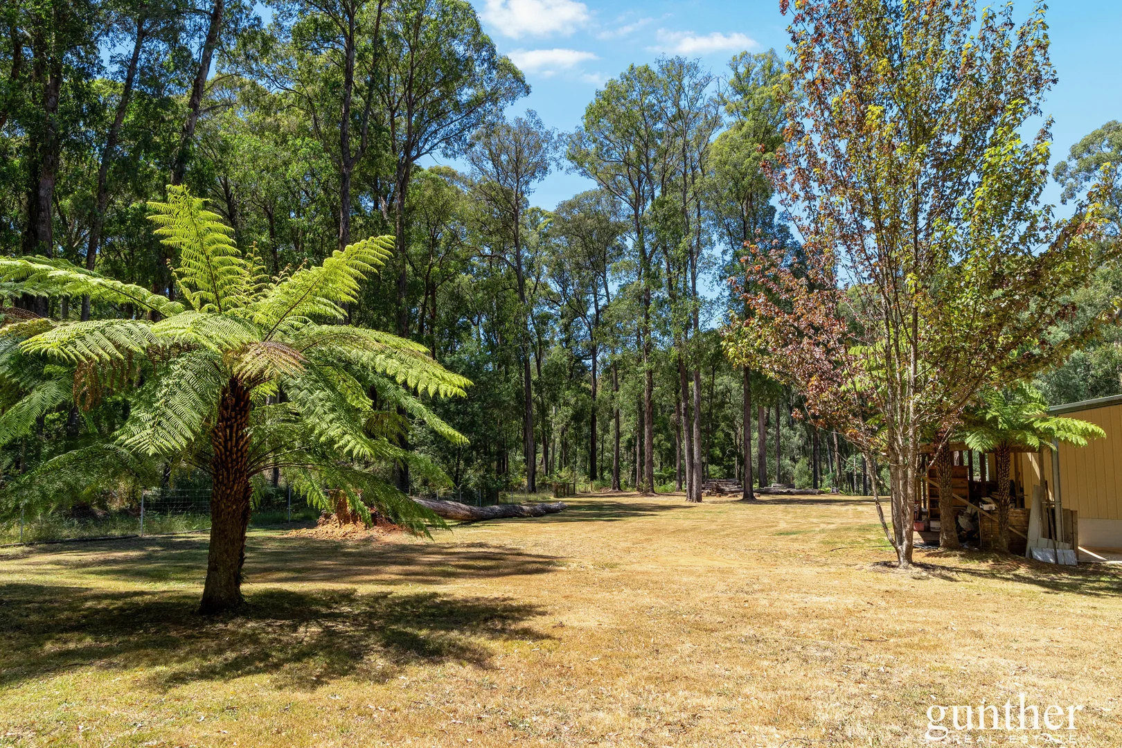 Additional image 17 of 150 Manby Road, Narbethong VIC 3778