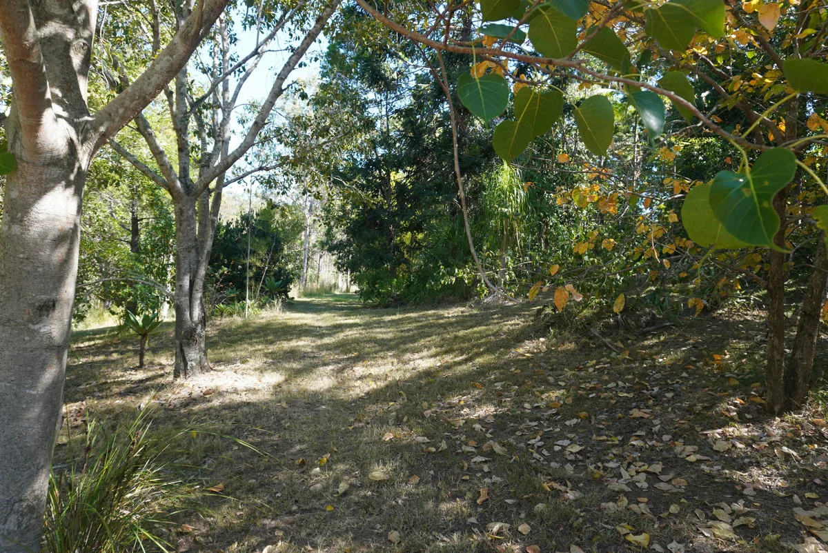 Additional image 46 of 619 Bulldog Road, Bulldog NSW 2469