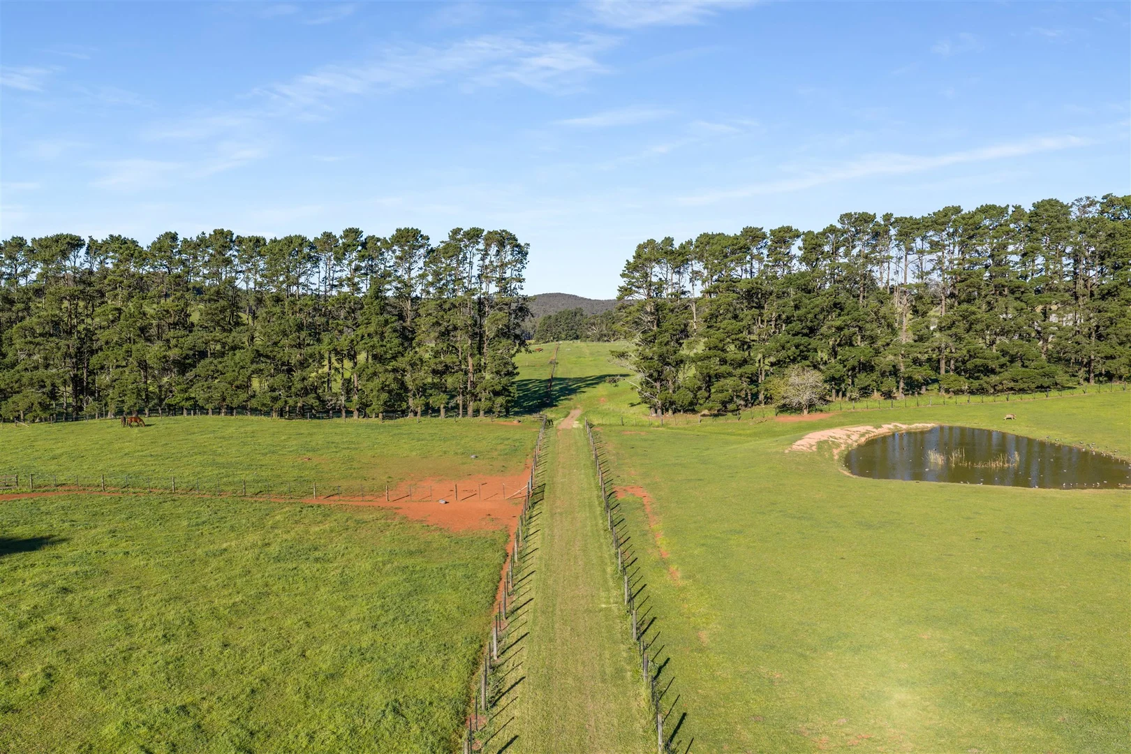 Additional image 30 of 464 Bumballa Road, Tallong NSW 2579