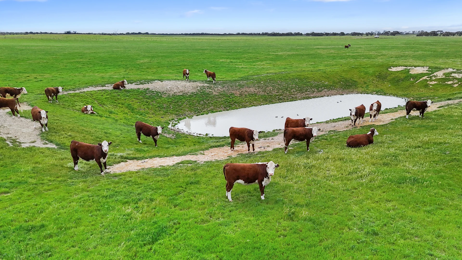 Additional image 13 of 1412 Red Bluff Road, Bordertown SA 5268