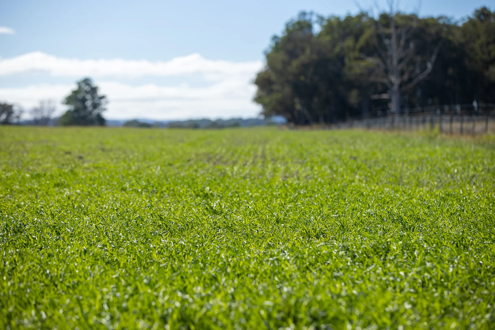 Additional image 12 of 700 Oaklands Road Yarrowitch Valley Via, Walcha NSW 2354