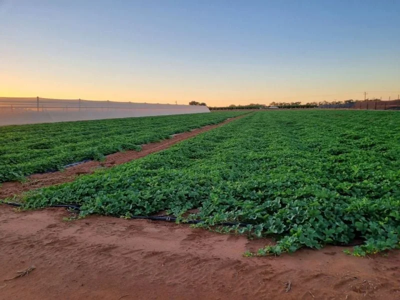 Additional image 13 of 137/138 North River Road, North Plantations WA 6701