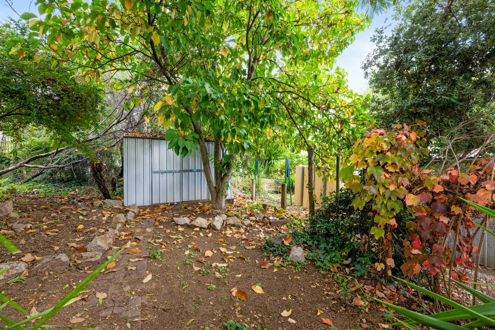 Additional image 19 of 7 Mountain Avenue, Mount Beauty VIC 3699