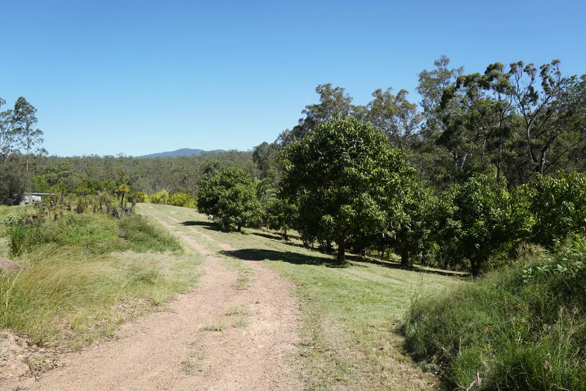Additional image 39 of 619 Bulldog Road, Bulldog NSW 2469