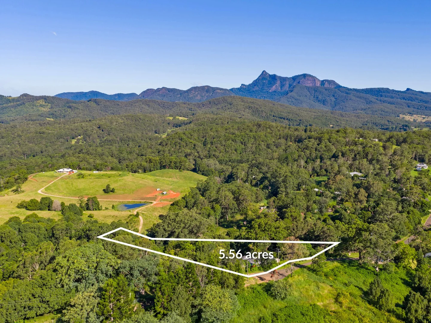 Additional image 30 of 76 Bald Mountain Road, Limpinwood NSW 2484