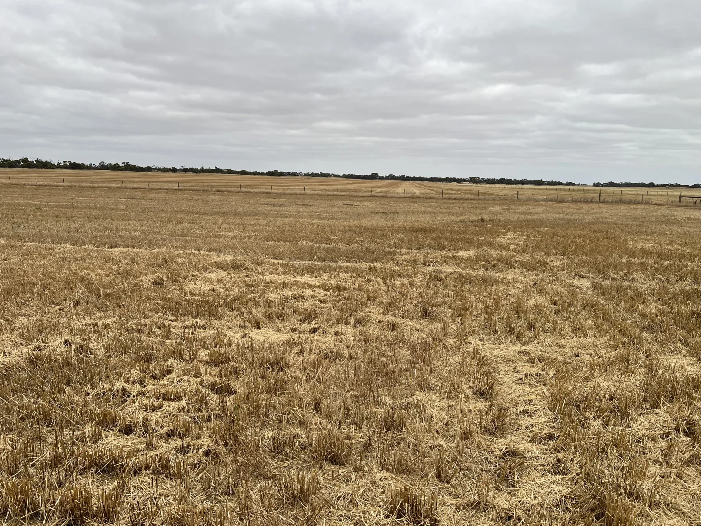 Additional image 25 of 1412 Red Bluff Road, Bordertown SA 5268