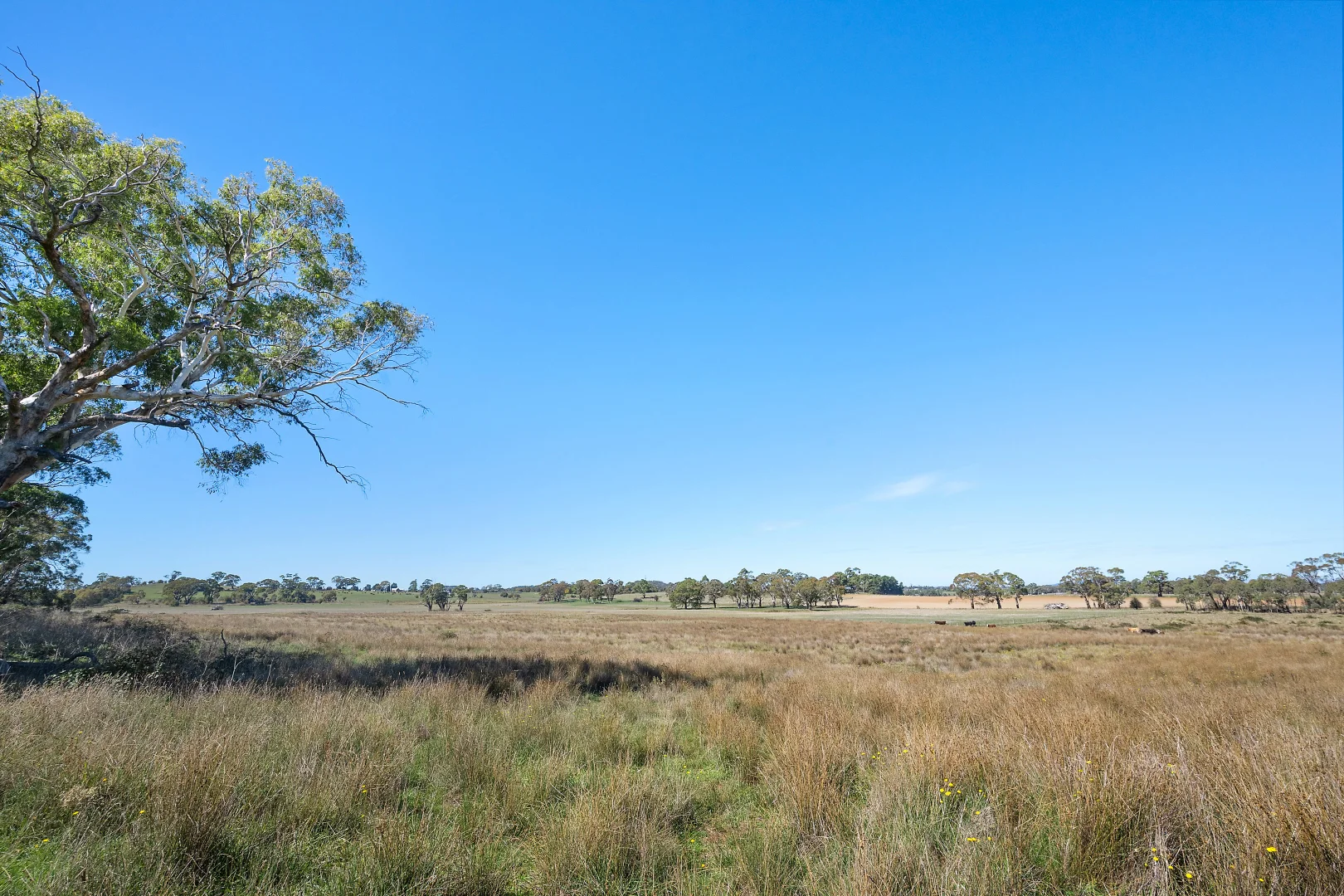 Additional image 15 of 269 Spring Hill Road, Spring Hill NSW 2800