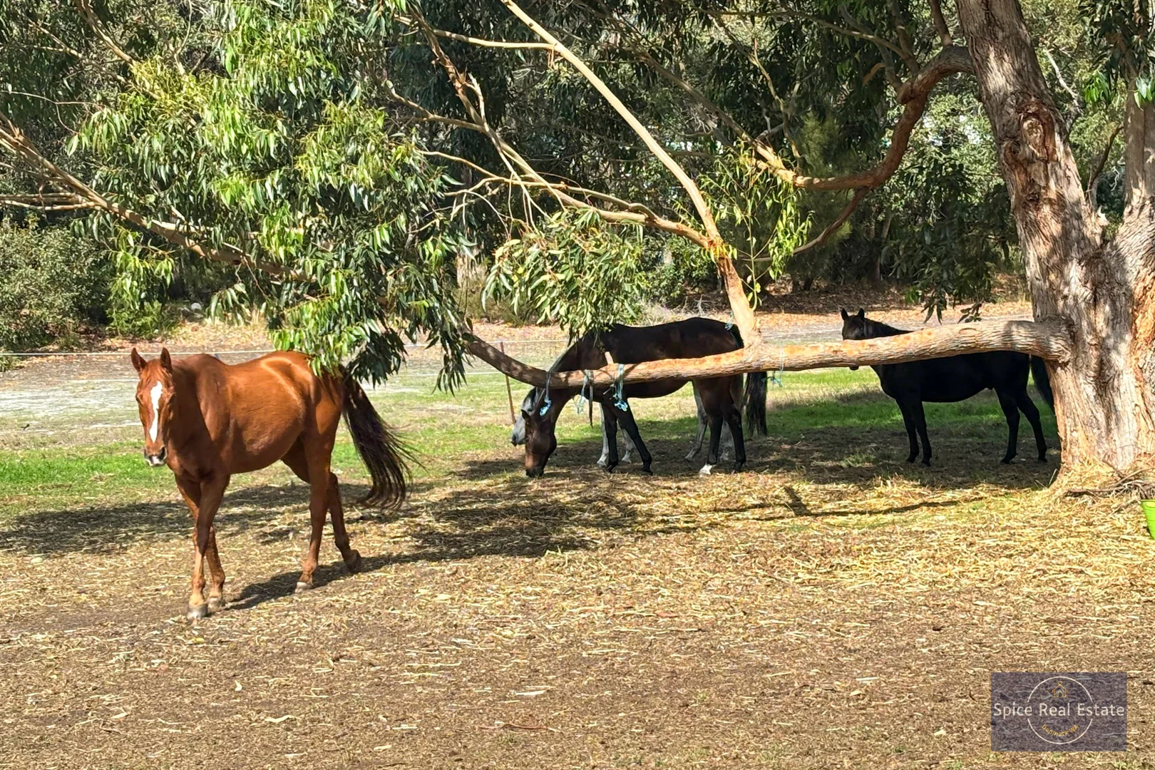 Additional image 21 of 124 Sheoak Drive, Hay WA 6333