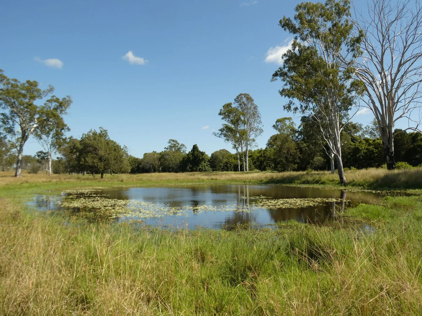 Additional image 2 of Lot 31 Brooweena Woolooga Road, Teebar QLD 4620
