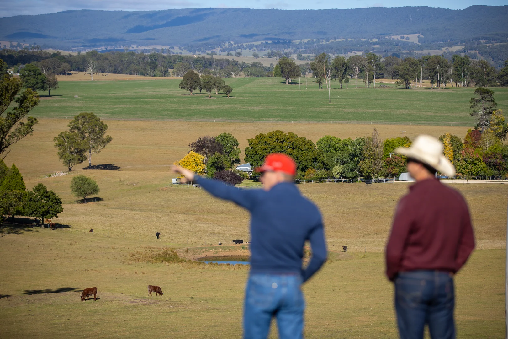 Additional image 25 of 700 Oaklands Road Yarrowitch Valley Via, Walcha NSW 2354
