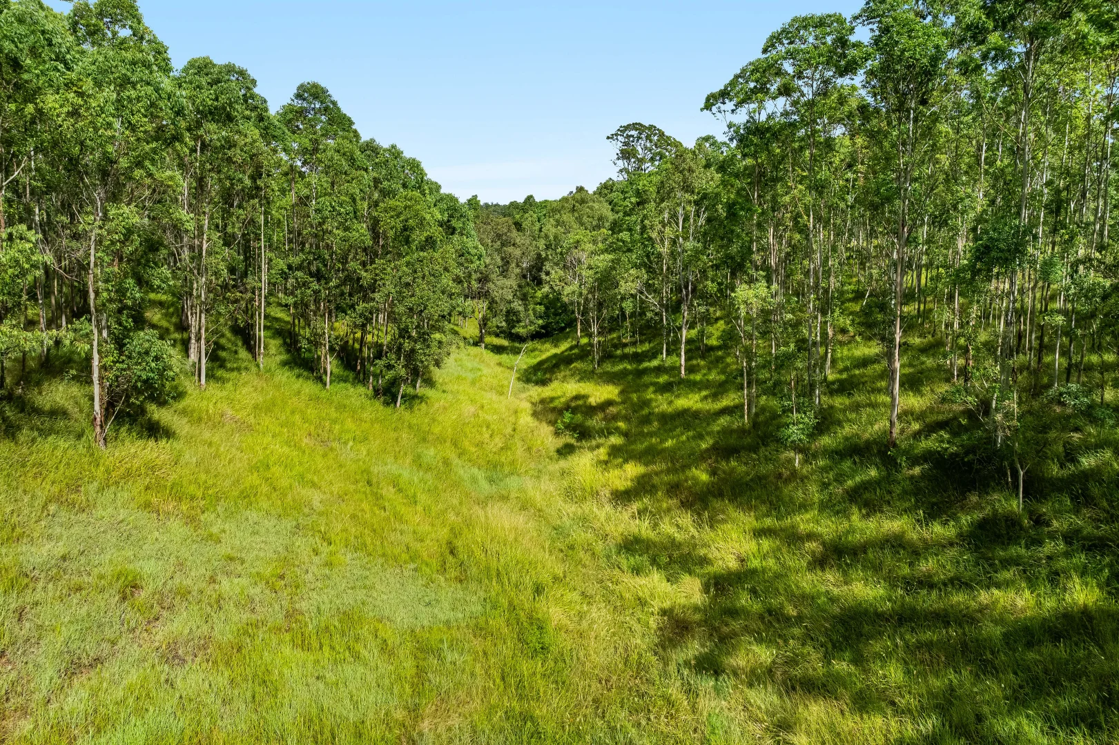 Additional image 8 of 12181 Clarence Way, Sandilands NSW 2469