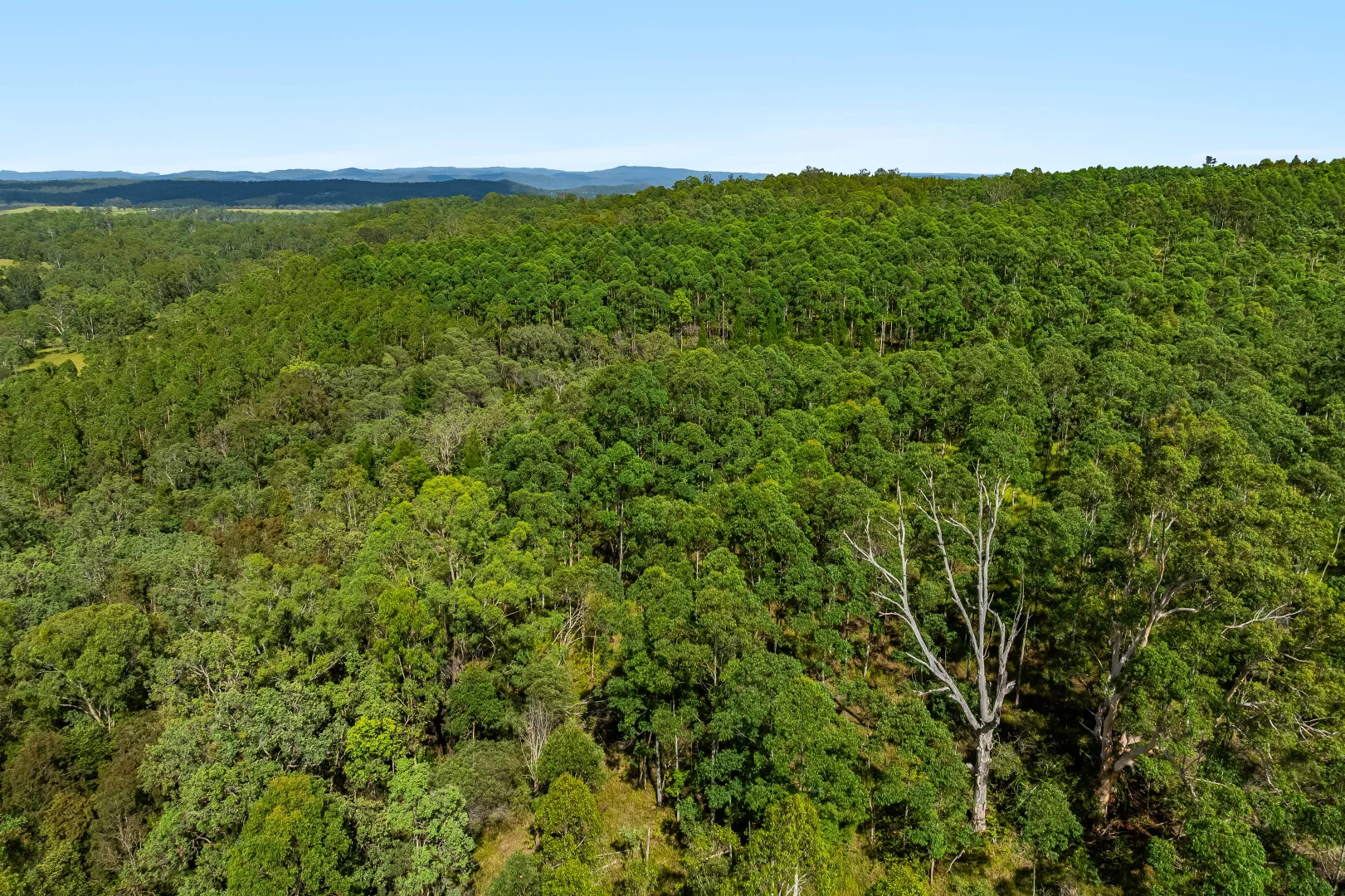 Additional image 13 of 12181 Clarence Way, Sandilands NSW 2469