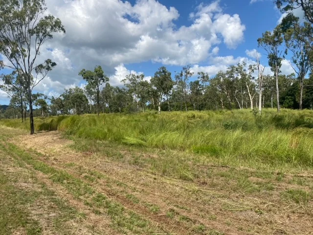 Additional image 3 of Lot 21 Exmoor Road, Bloomsbury QLD 4799