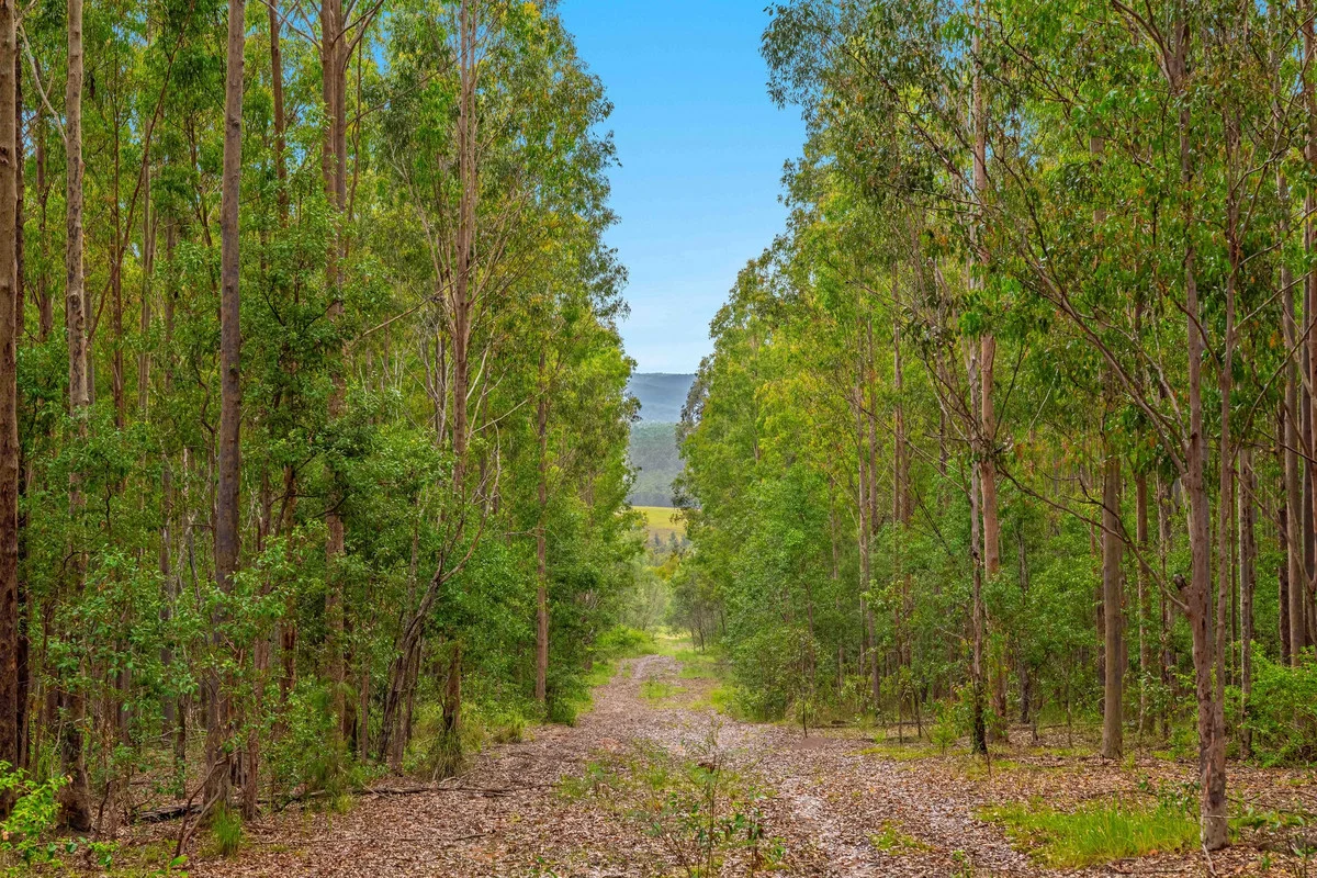 Additional image 15 of 18 Ryans Road, Bonalbo NSW 2469