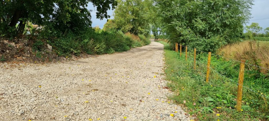 Land for saleMoor Lane, Sturminster Marshall BH21