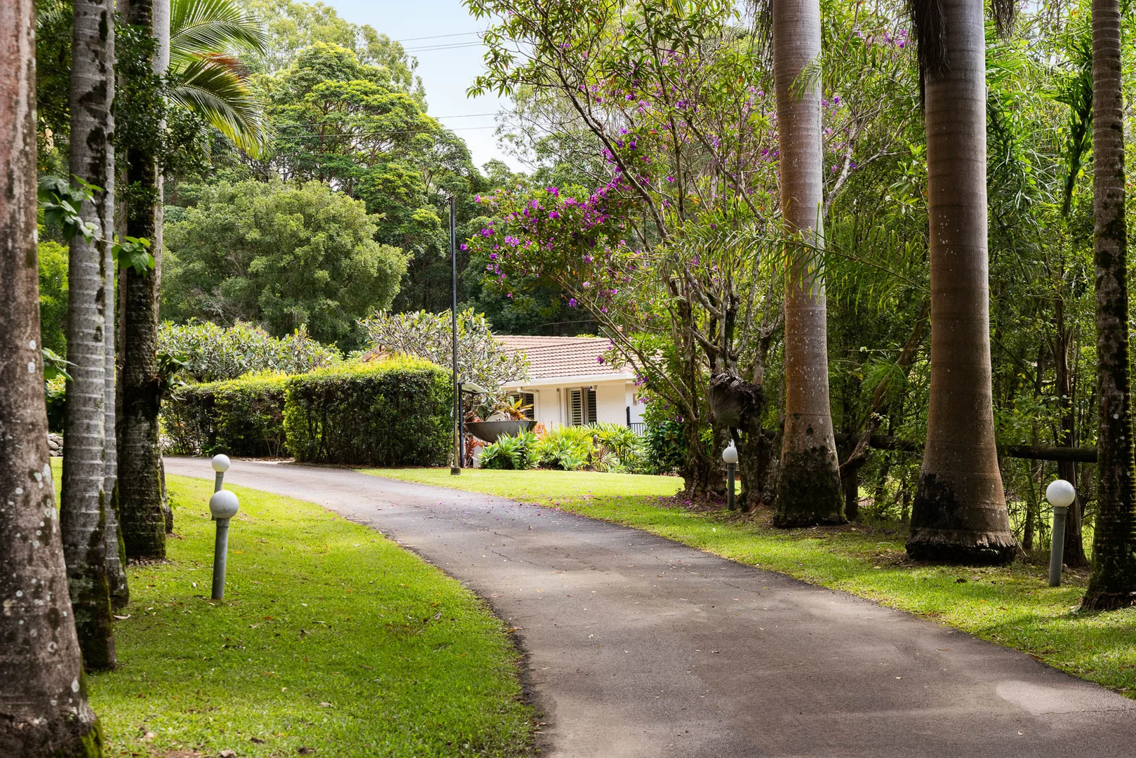 Additional image 9 of 239 Dath Henderson Road, Tinbeerwah QLD 4563