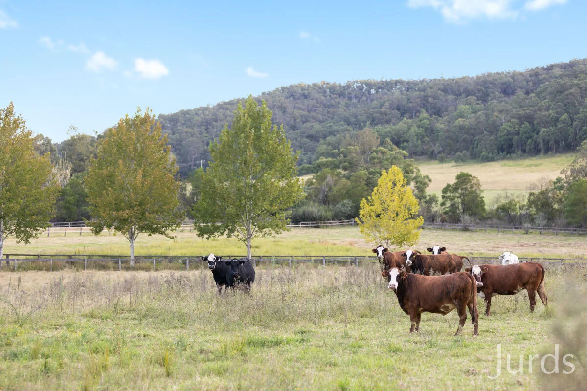 Additional image 29 of 24 Coolawine Road, Wollombi NSW 2325
