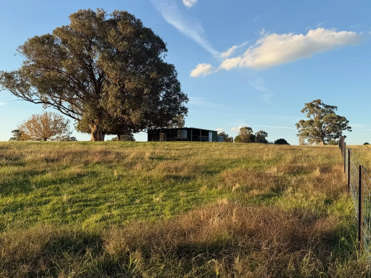 Additional image 2 of Camerons Hill Lot 17 Reynolds Lane, Binalong NSW 2584