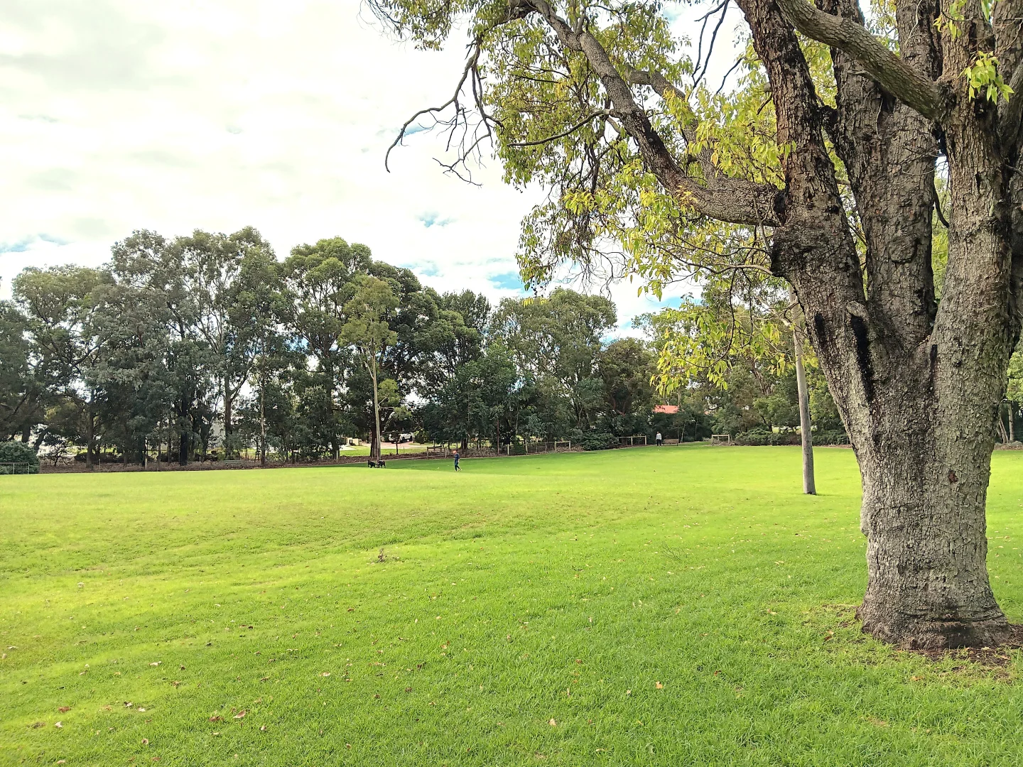 Additional image 28 of 18/22 Rinaldo Crescent, Coolbellup WA 6163