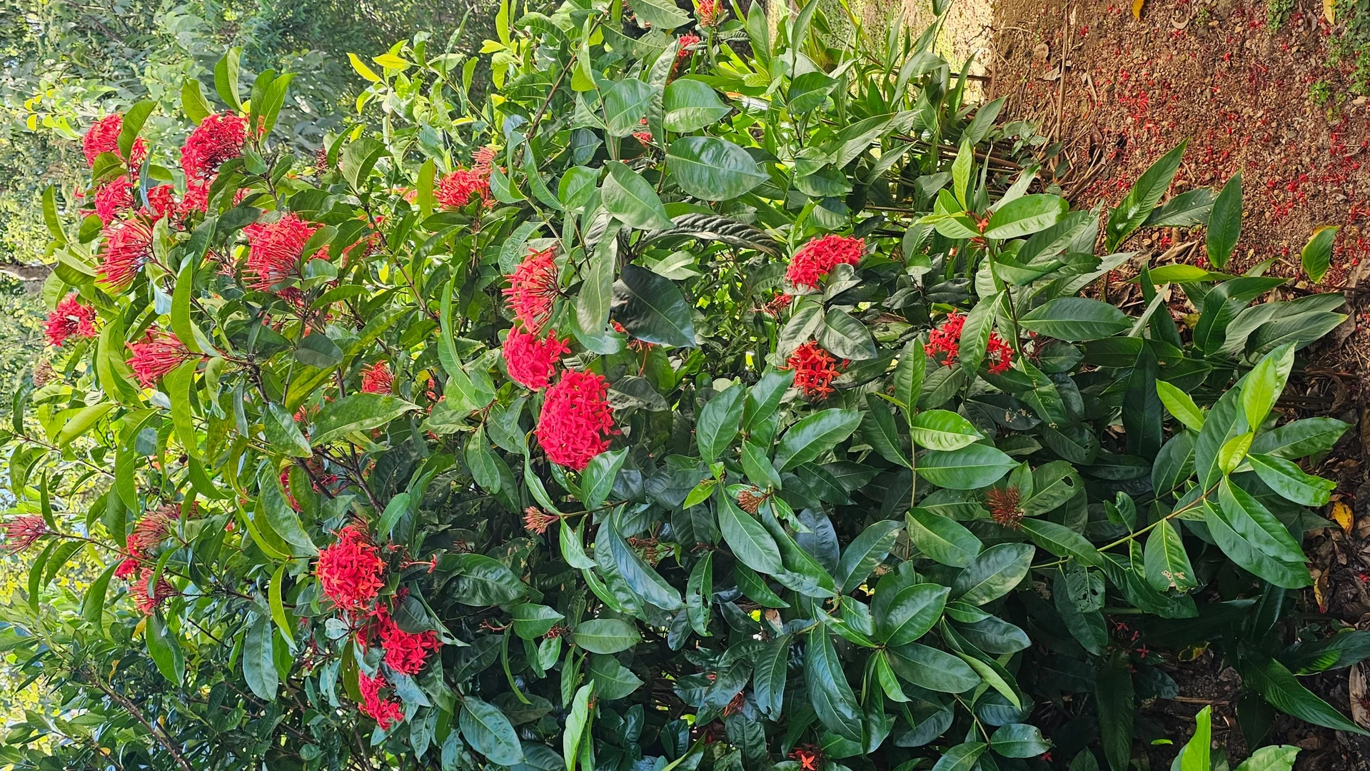 Additional image 32 of Cooktown QLD 4895