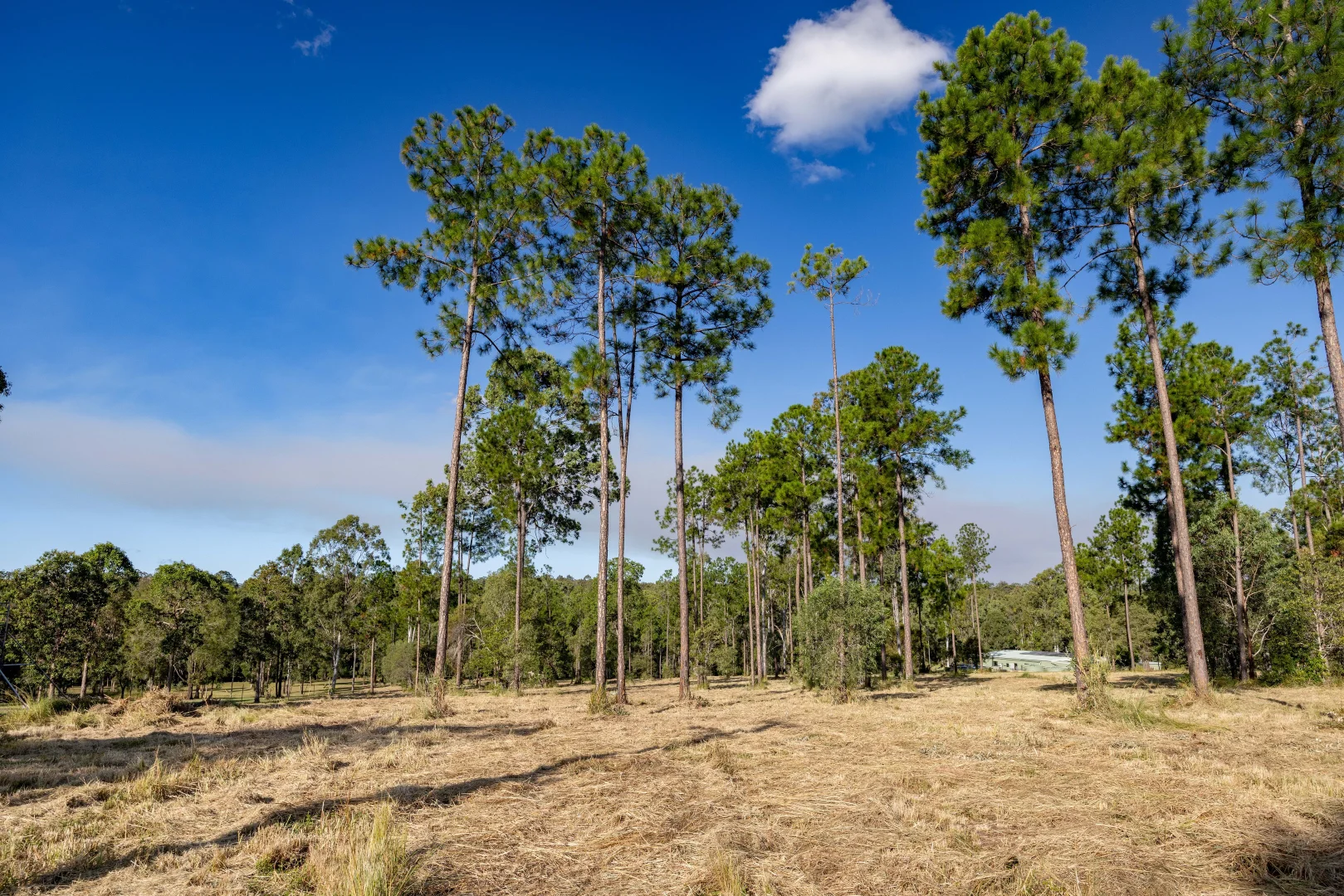 Additional image 3 of Lot 205 & 206 Arborfive Road, Glenwood QLD 4570