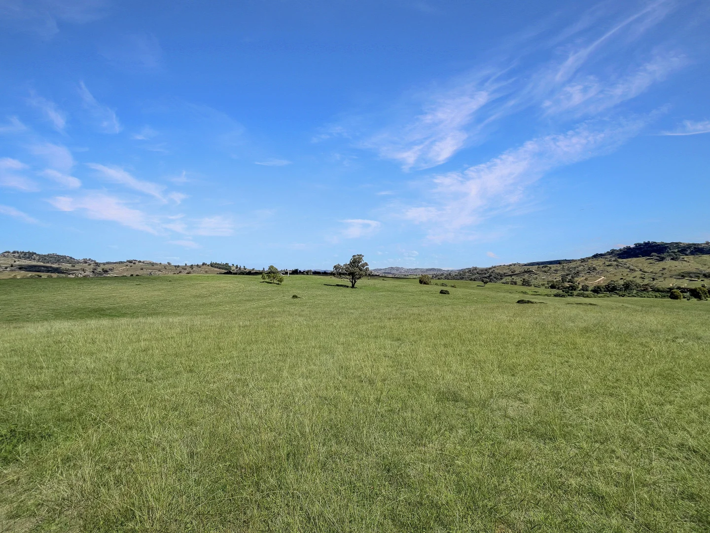 Additional image 14 of Mount Mcdonald Road, Wyangala NSW 2808