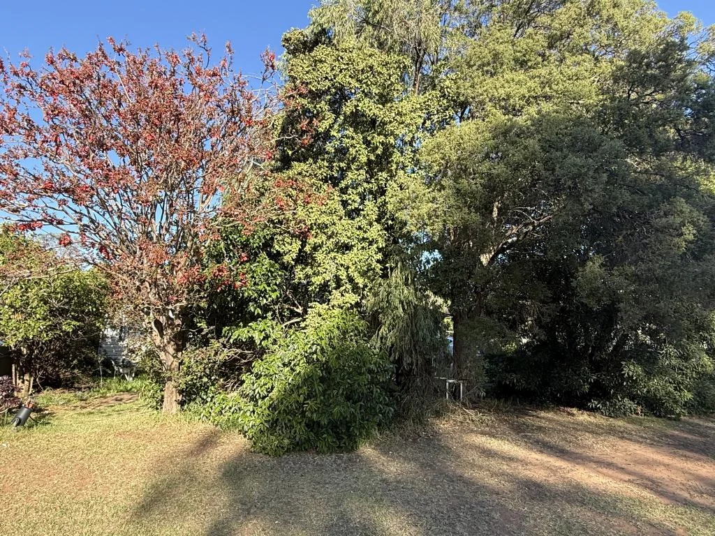Additional image 13 of 12 Denison Street, Finley NSW 2713