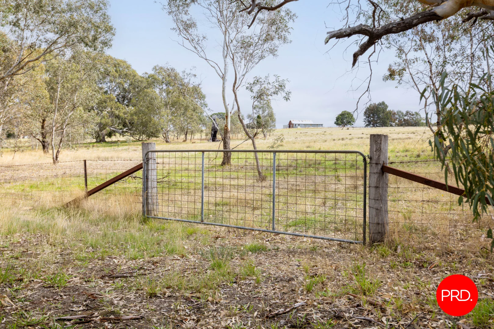 Additional image 6 of 1445 Bendigo-Sutton Grange Road, Sutton Grange VIC 3448