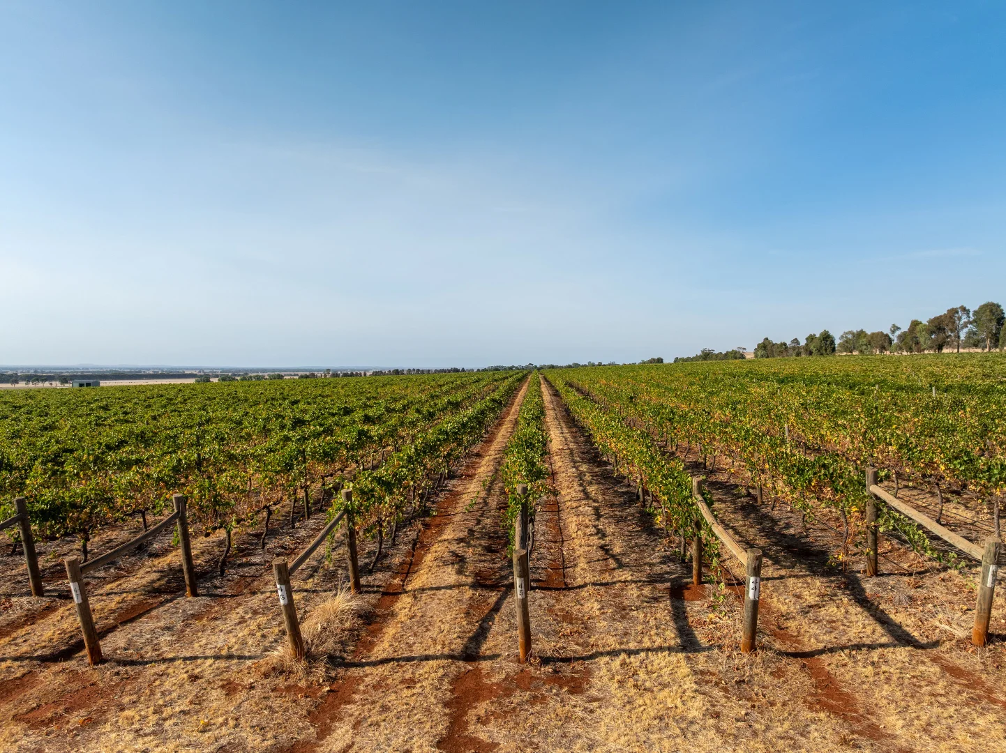 Additional image 6 of 22 Willoughby Road, Burramboot VIC 3559