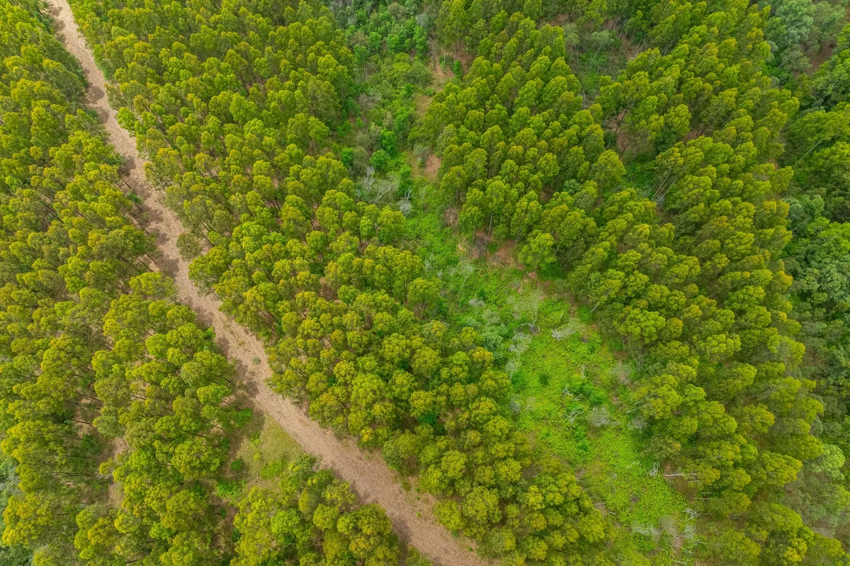 Additional image 16 of 18 Ryans Road, Bonalbo NSW 2469