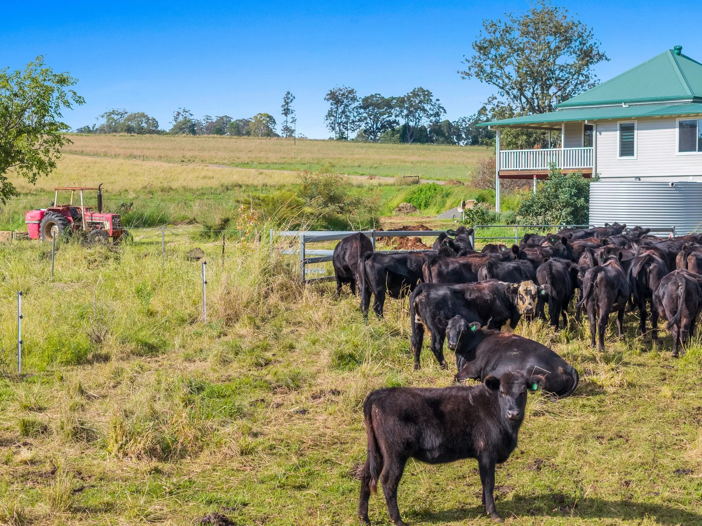 Additional image 26 of 1050 Afterlee Road, Eden Creek NSW 2474