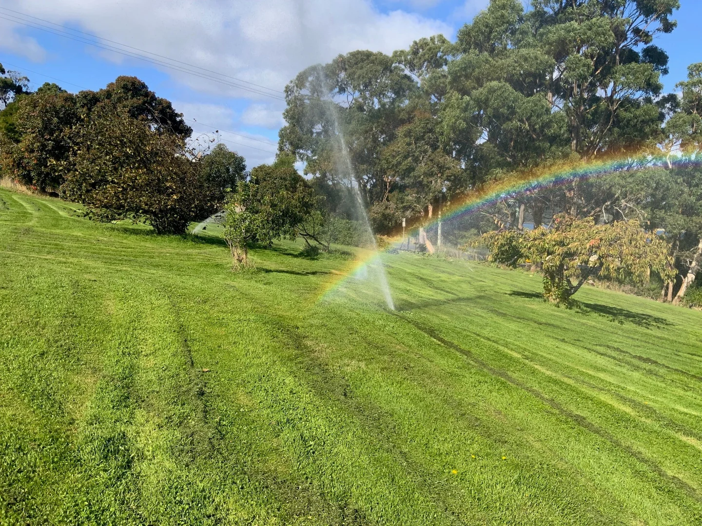 Additional image 10 of Lot 1/424 Safety Cove Road, Port Arthur TAS 7182