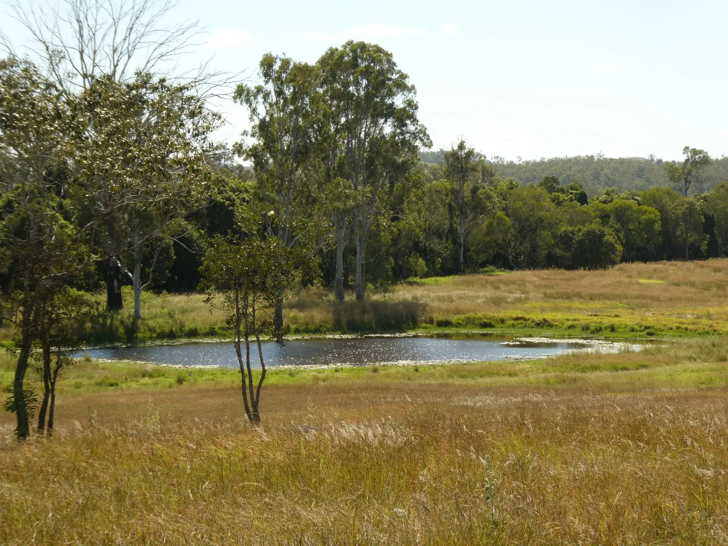 Additional image 9 of Lot 31 Brooweena Woolooga Road, Teebar QLD 4620