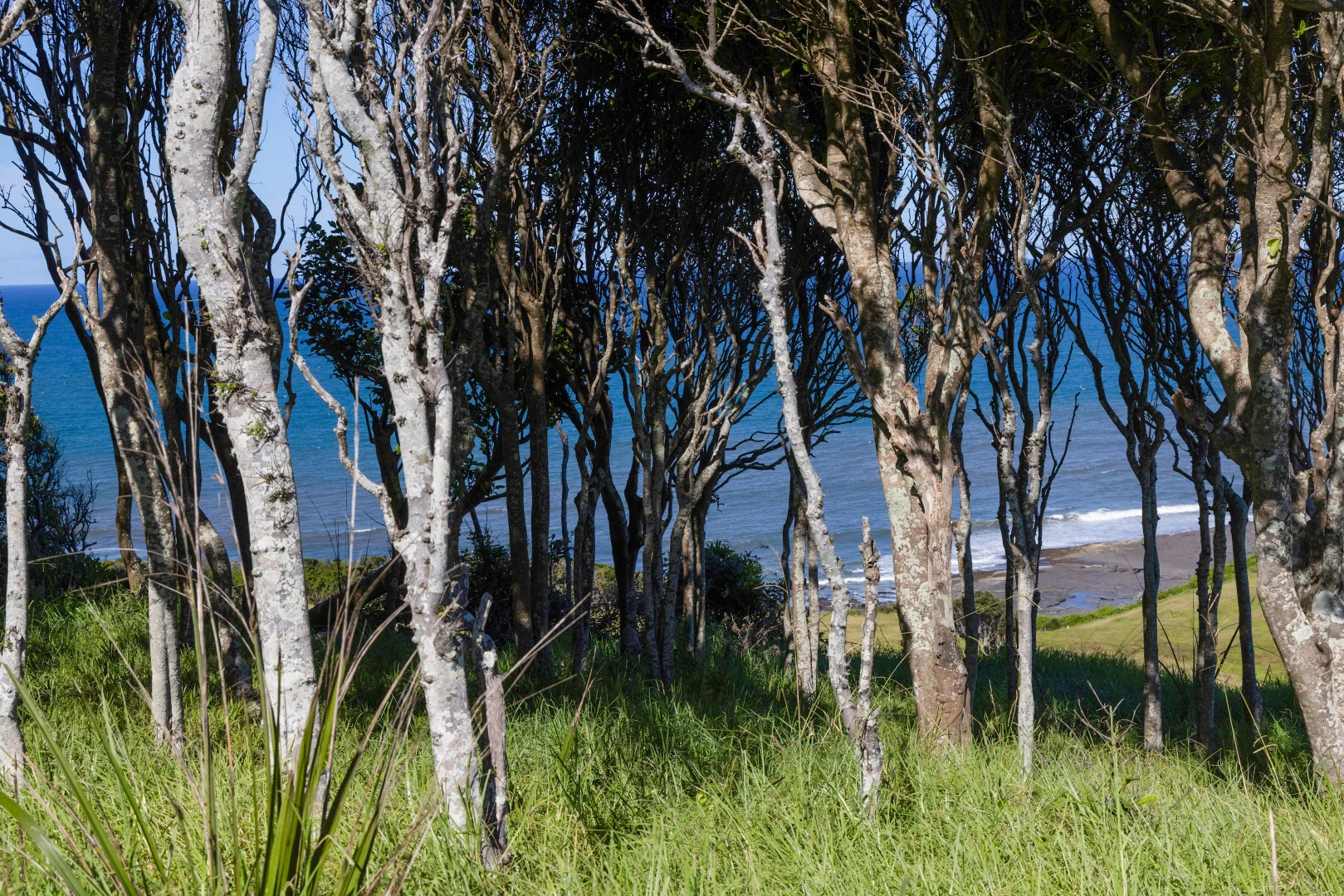 Additional image 20 of 64 Crooked River Road, Gerroa NSW 2534