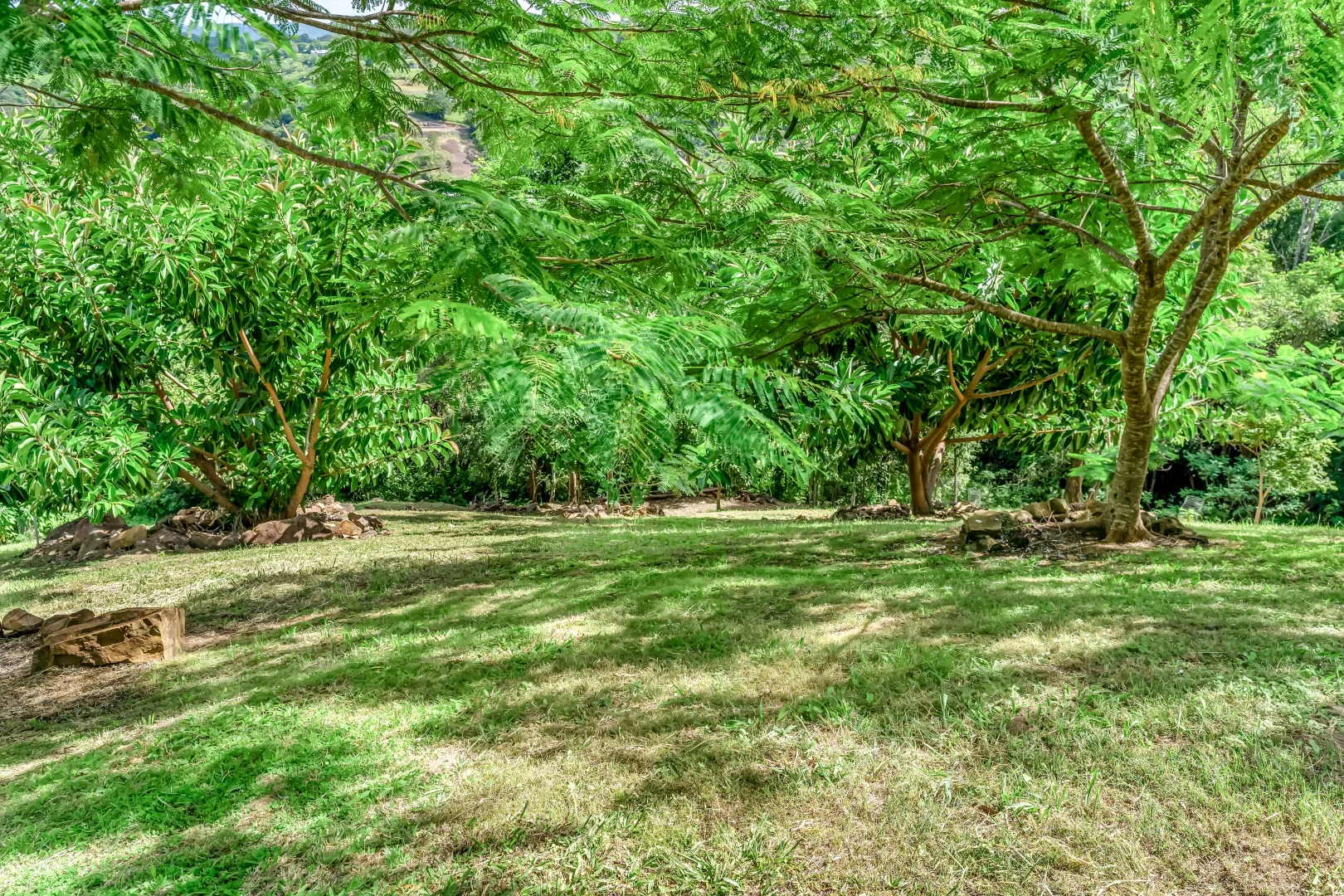 Additional image 30 of 22 Mount Eerwah Vista Drive, Eumundi QLD 4562