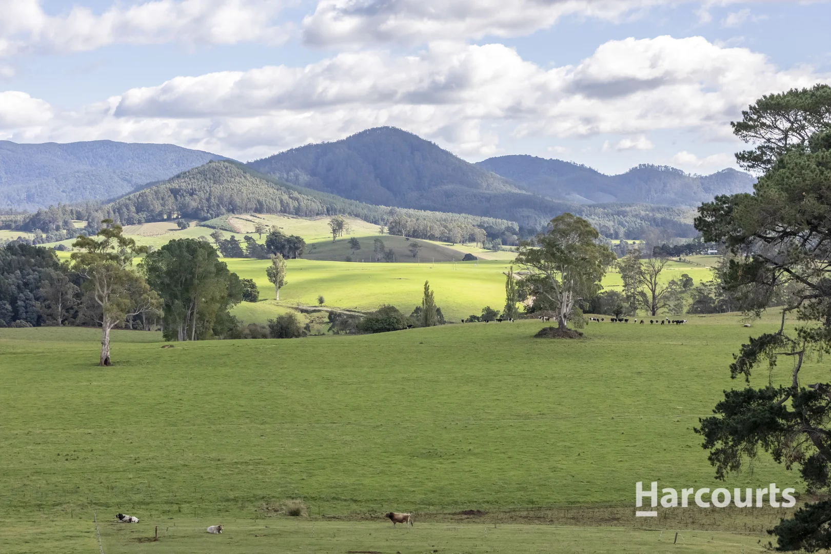 Additional image 32 of 214 Mathinna Plains Road, Ringarooma TAS 7263