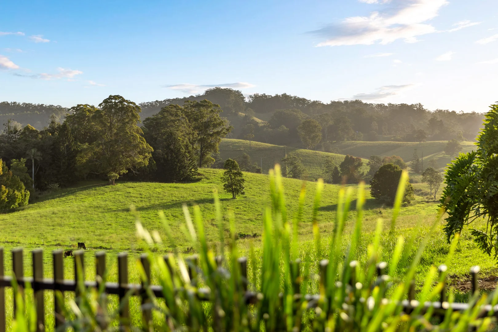 Additional image 5 of 423 Hydes Creek Road, Bellingen NSW 2454