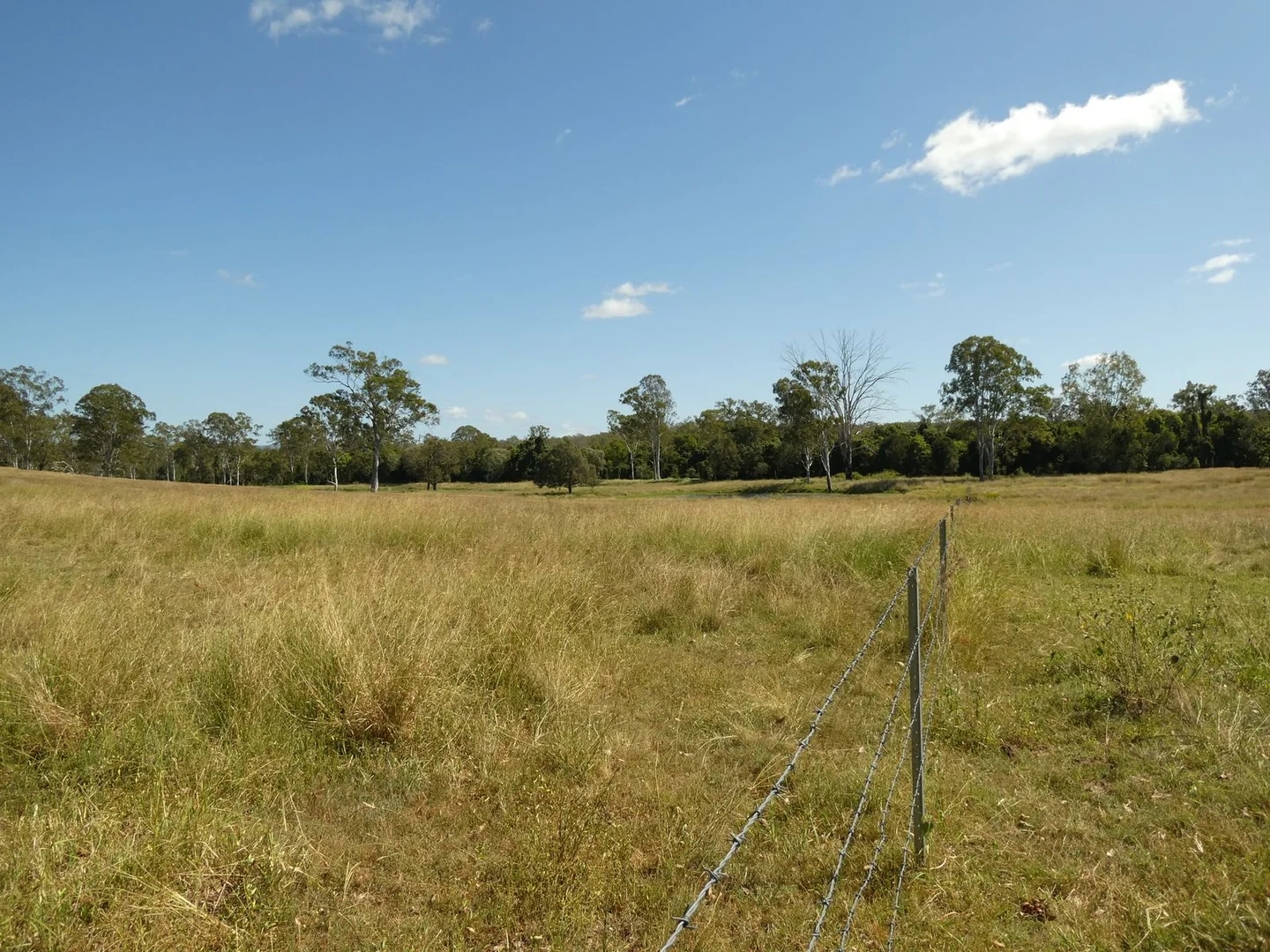Additional image 17 of Lot 31 Brooweena Woolooga Road, Teebar QLD 4620