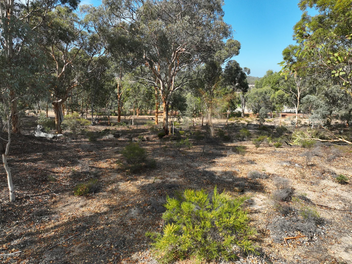 Additional image 17 of 111 Panorama View, Hoddys Well WA 6566