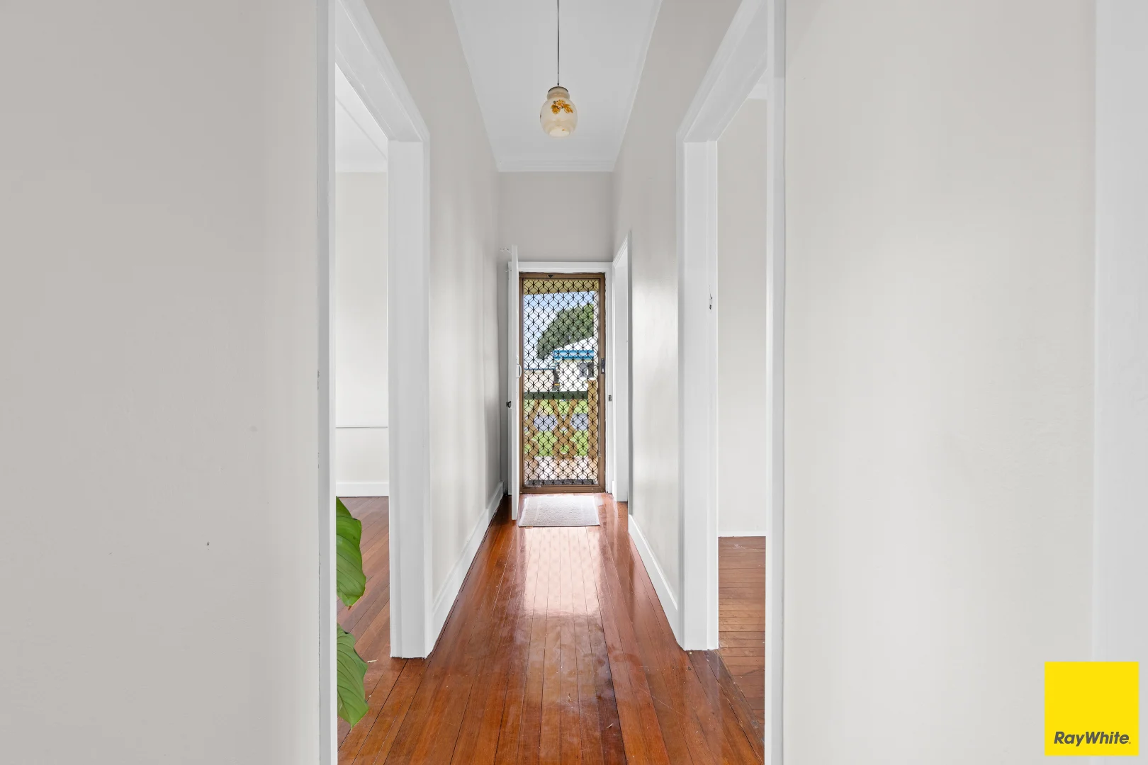 Additional image 12 of 8 Shay Street, Wangan QLD 4871