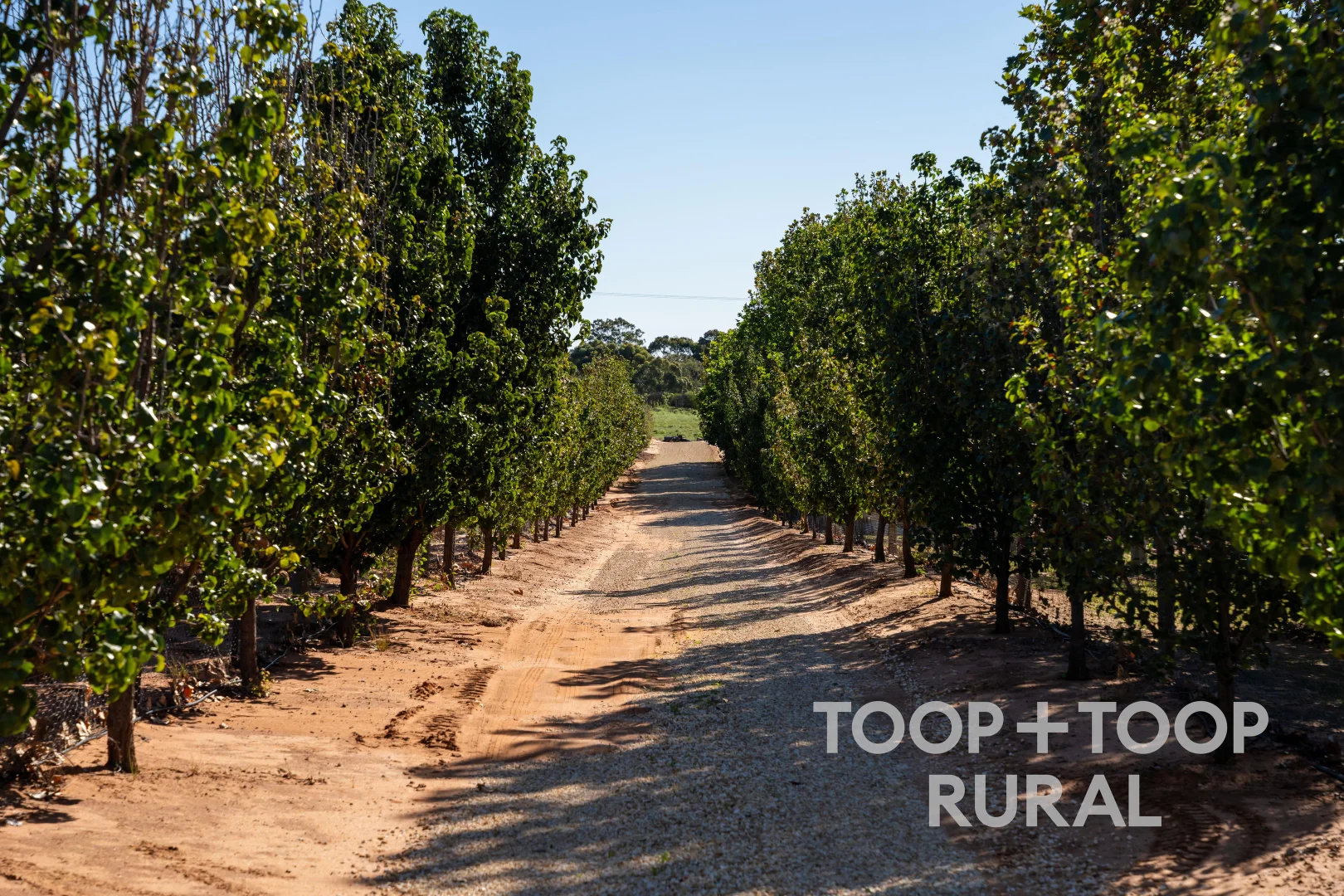Additional image 25 of 27 Pioneer Landing Drive, Loxton SA 5333