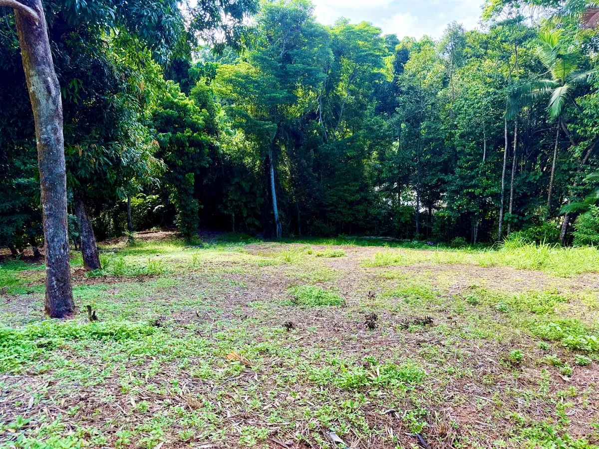 Additional image 11 of 68 Cutten Street, Bingil Bay QLD 4852
