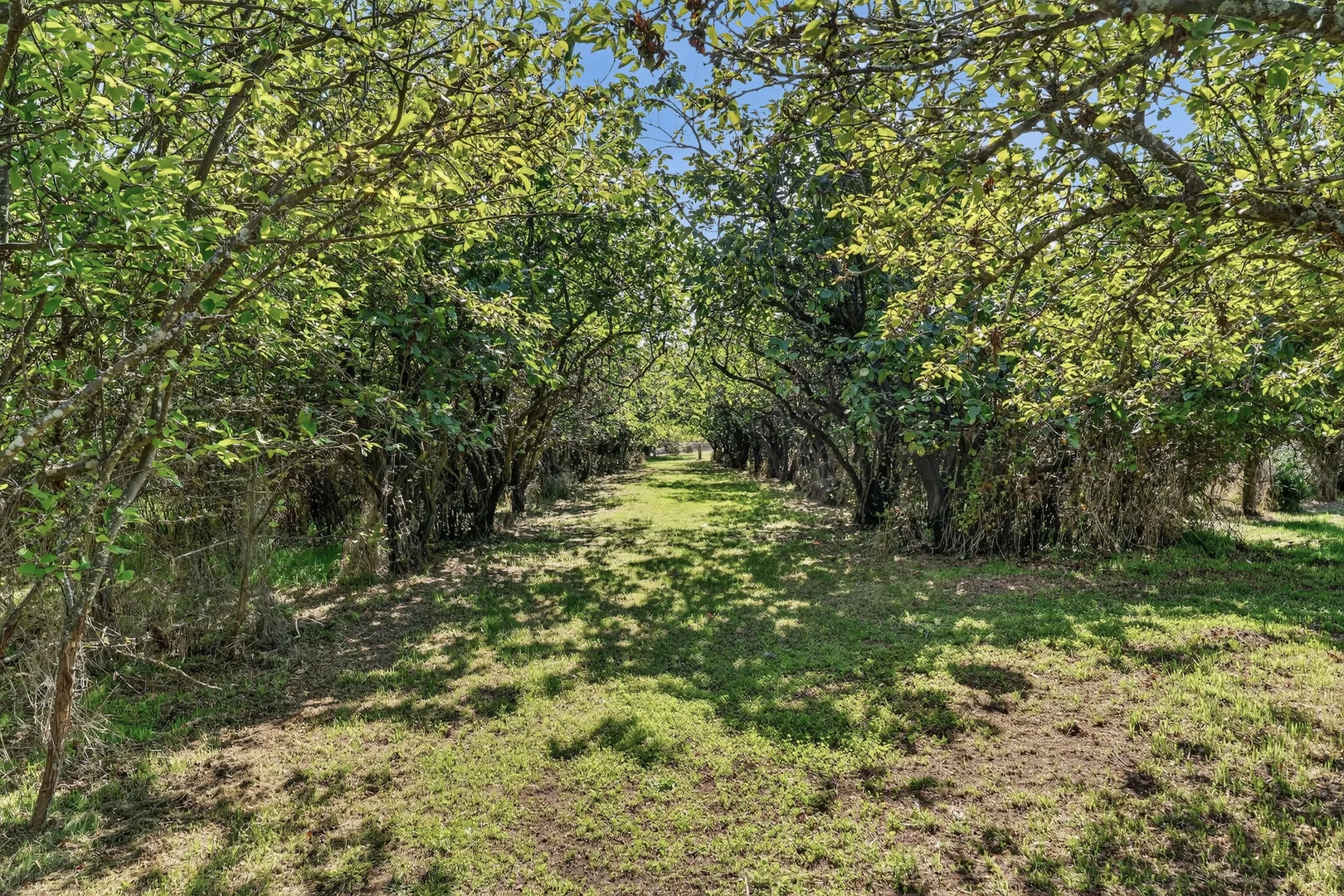 Additional image 18 of 512 Sidonia Road, Sidonia VIC 3444