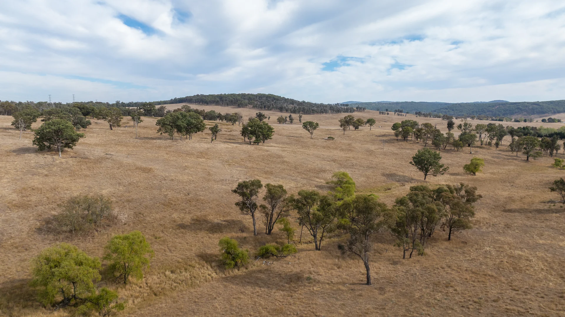 Additional image 24 of "Rose Valley" 379 Toms Gully Road, Black Mountain NSW 2365